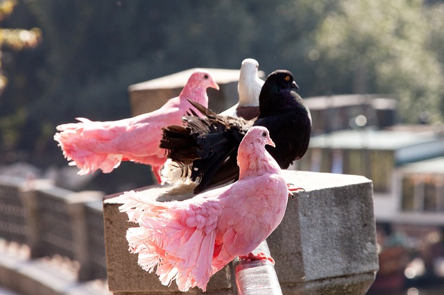 的表现进行 的表现进行